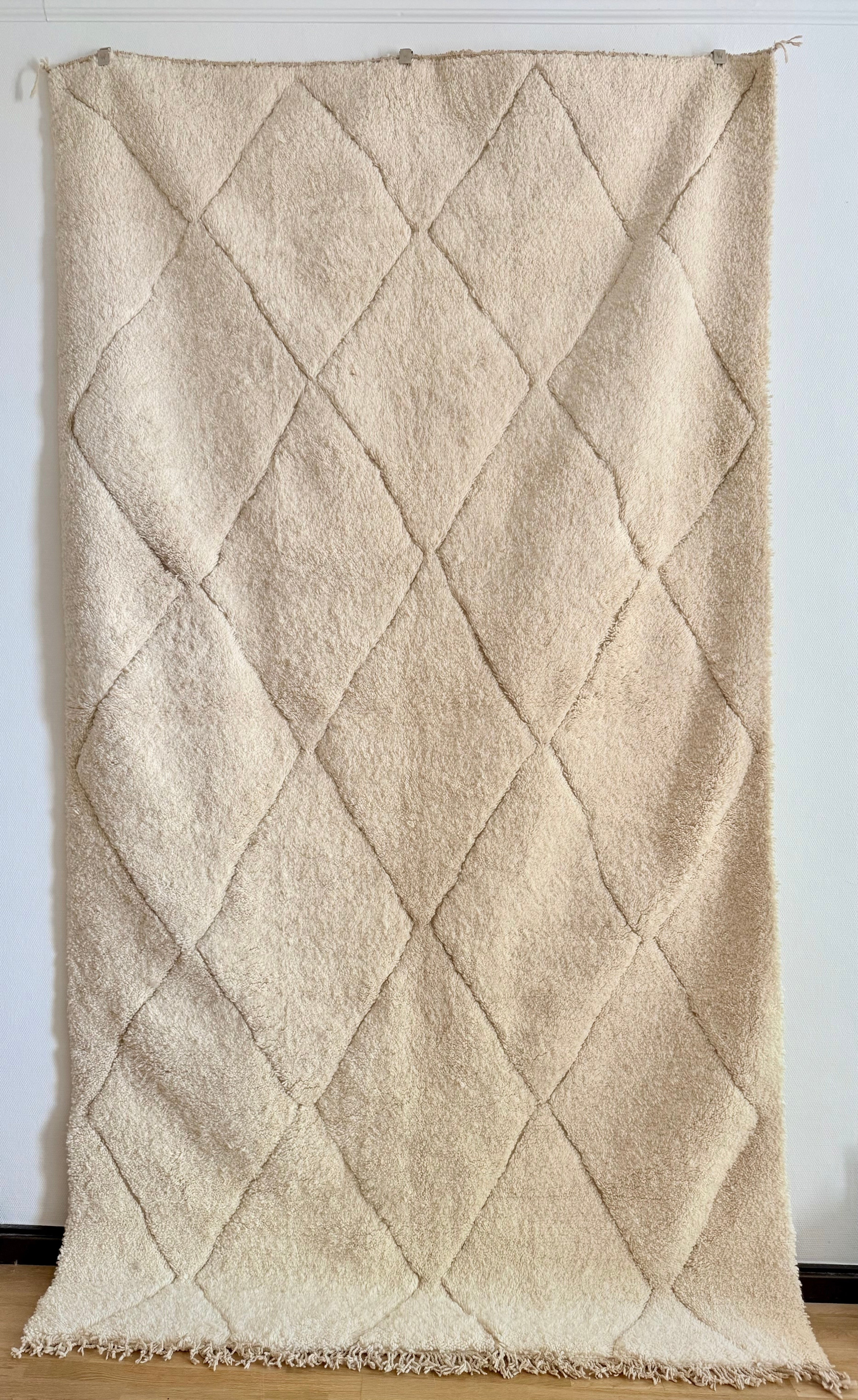 Beni 342 x 207 Olen (No. 134 )